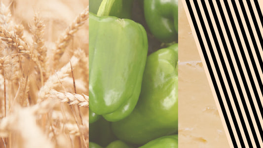 All Things Spermidine Pt 2 -The Health-Promoting Mechanisms of Spermidine