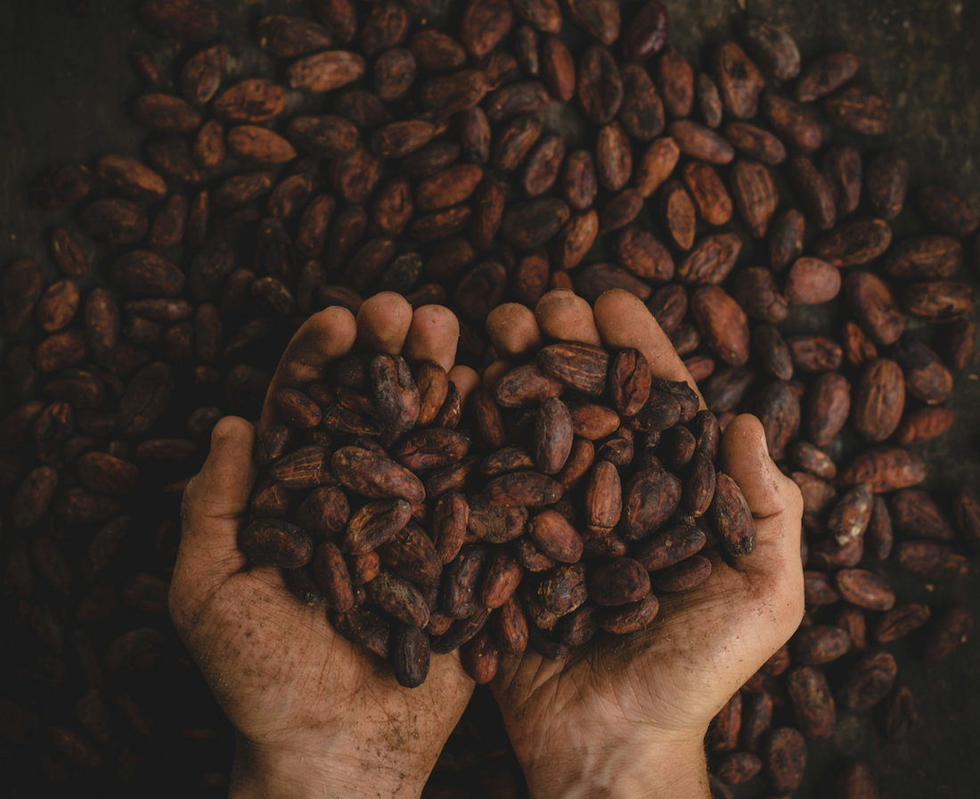 8 Science-Backed Health Benefits of Cocoa Extract: What You Need To Know