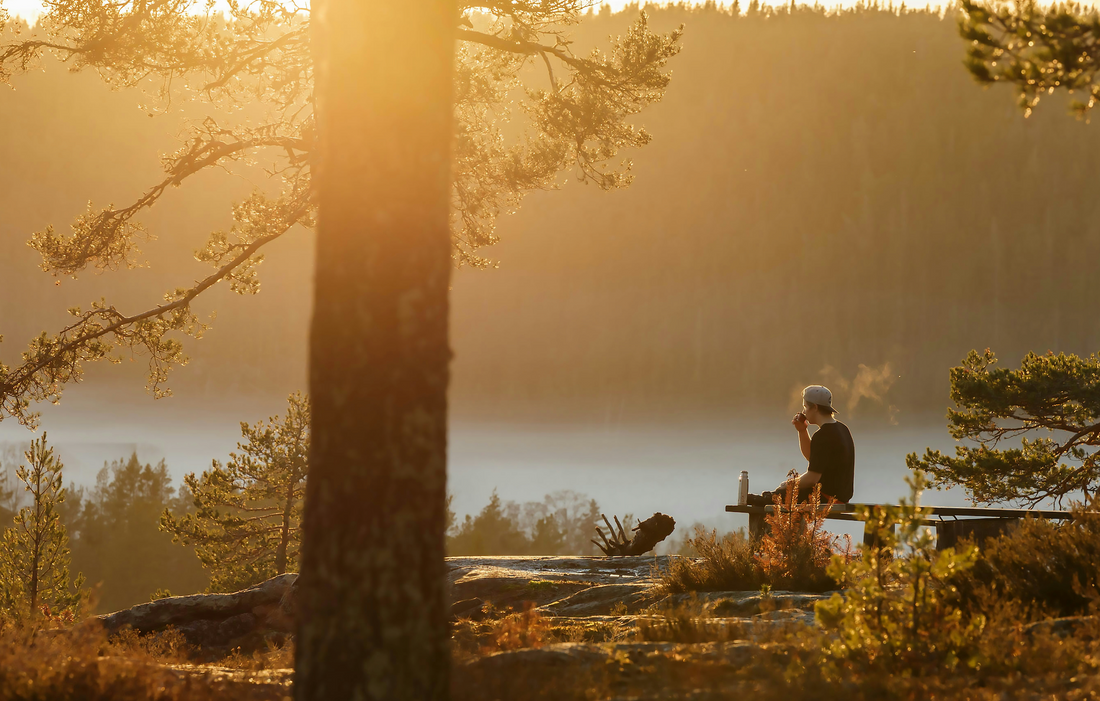 Morning Being: A Science-Backed Morning Ritual for Energy and Longevity