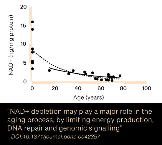 a chart showing NAD levels rapidly declining from 0-80 years old