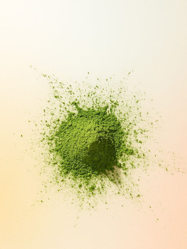 Moringa